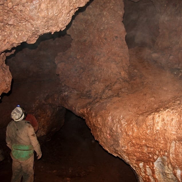 Пещера возле Красноярска борется с половыми инфекциями неизвестными науке актинобактериями