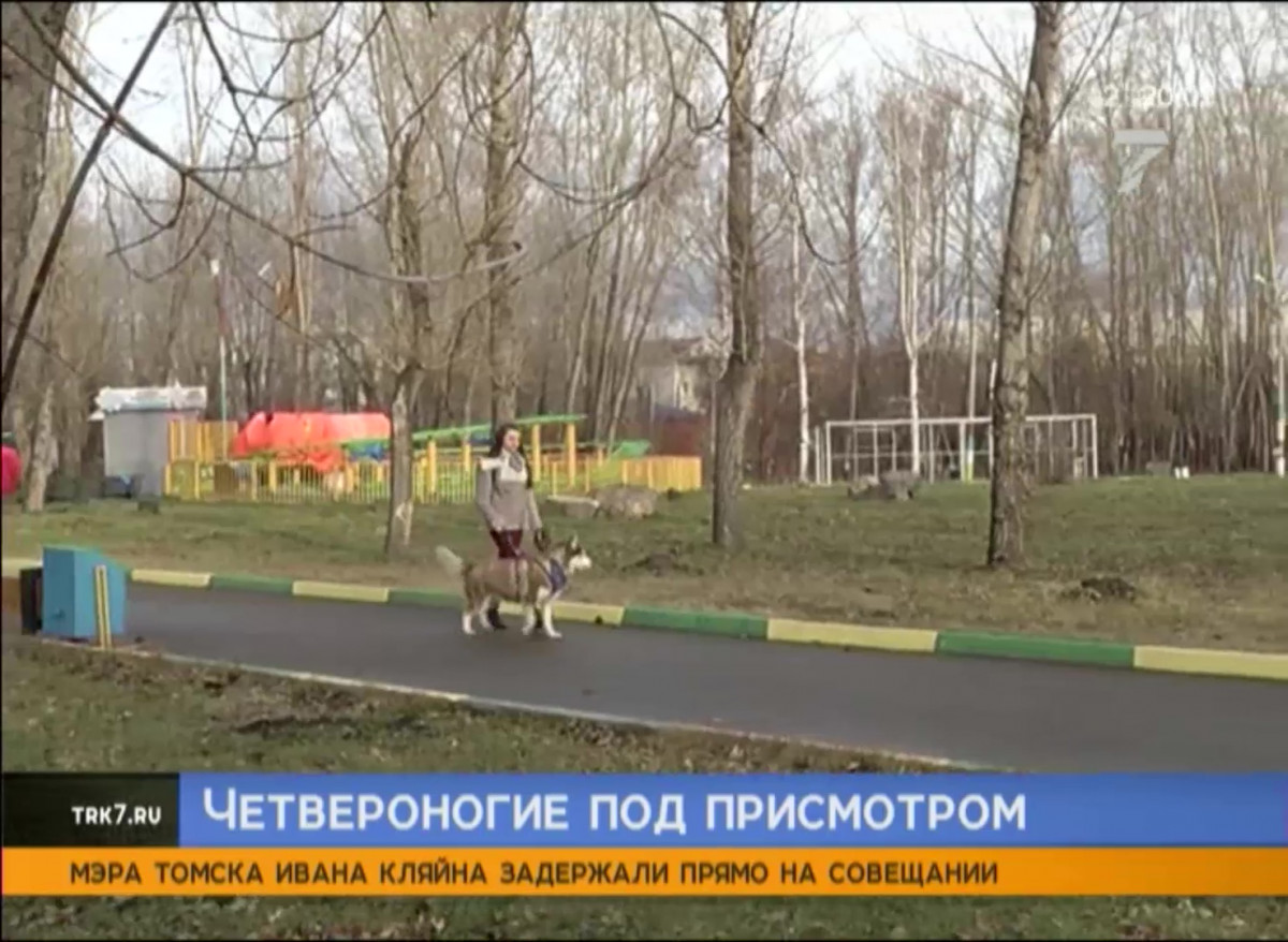 В Красноярске появился первый зооинспектор