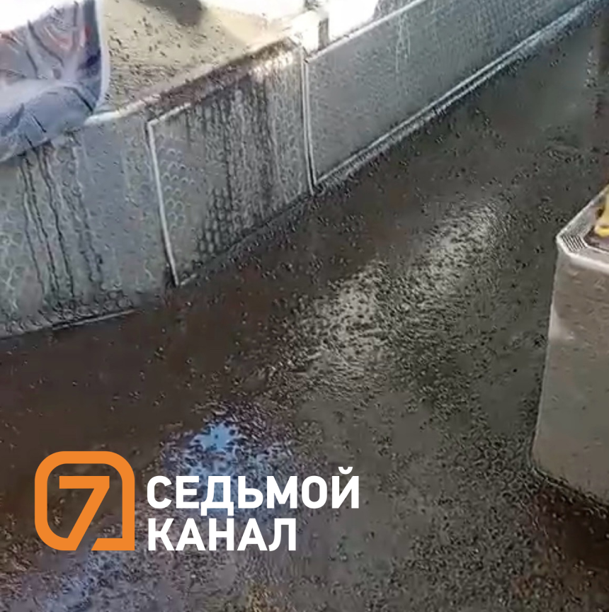 Красноярцы жалуются на дикую грязь в автобусах: разбираемся, когда их ...