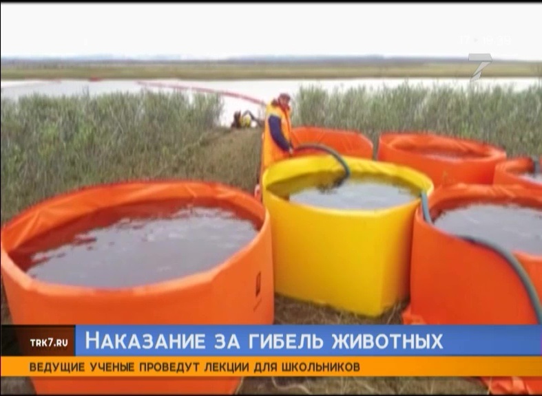 Власти Красноярского края требуют с «Норникеля» 500 млн рублей за гибель животных во время разлива топлива
