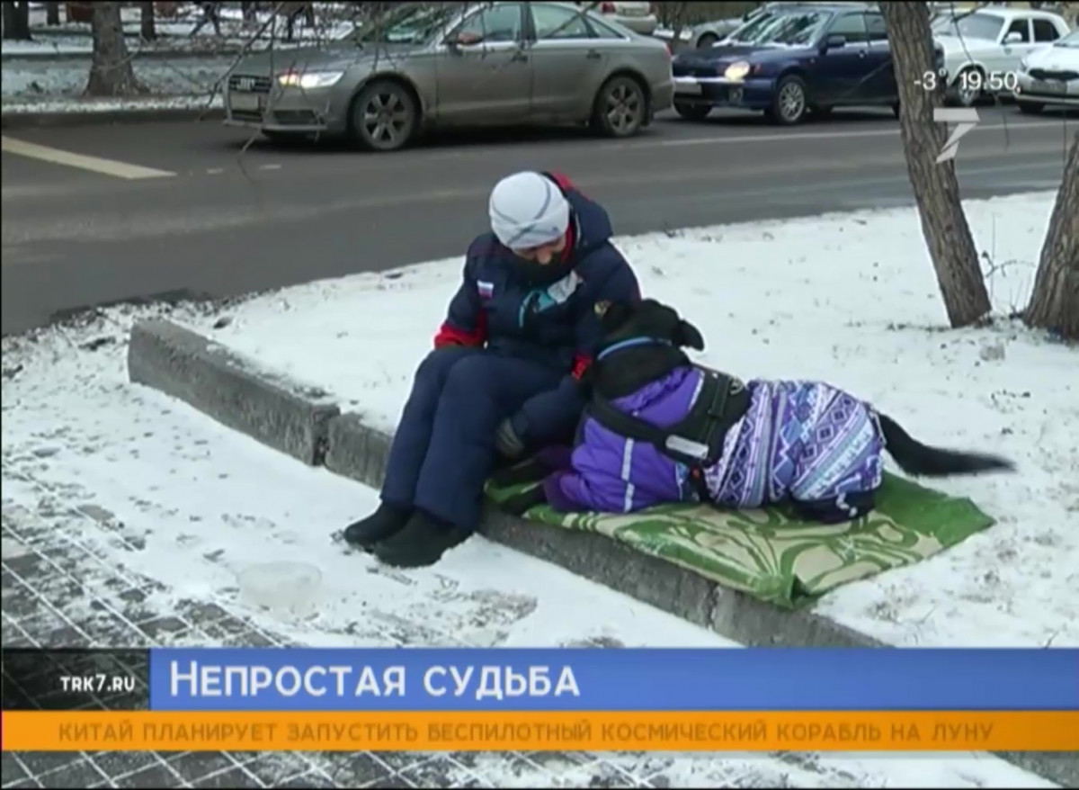 В центре Красноярска инвалид с собакой уже несколько дней просит милостыню