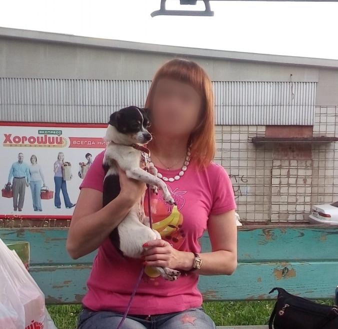 Под Красноярском женщина выкинула собаку из окна на глазах у детей