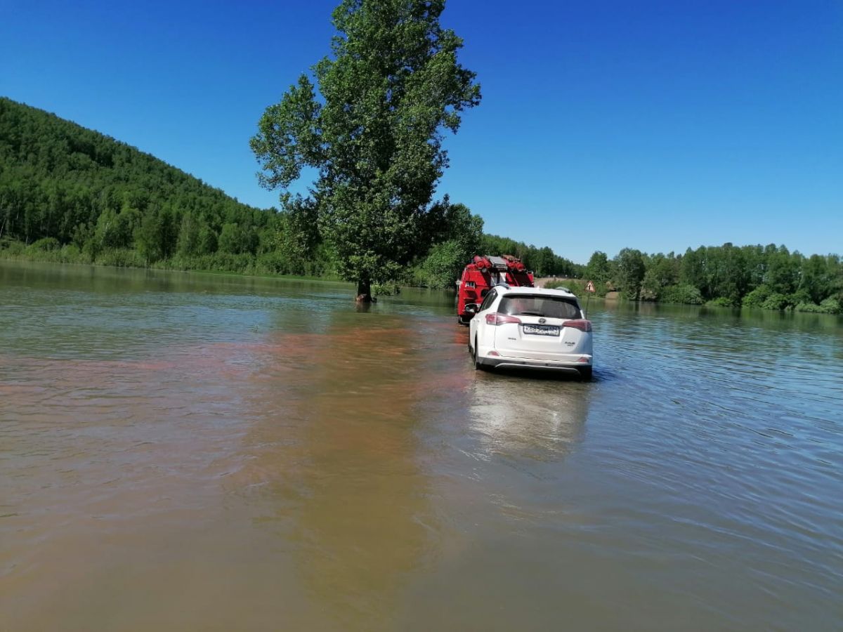 вытащили из воды 3.jpg вытащили из воды 3.jpg