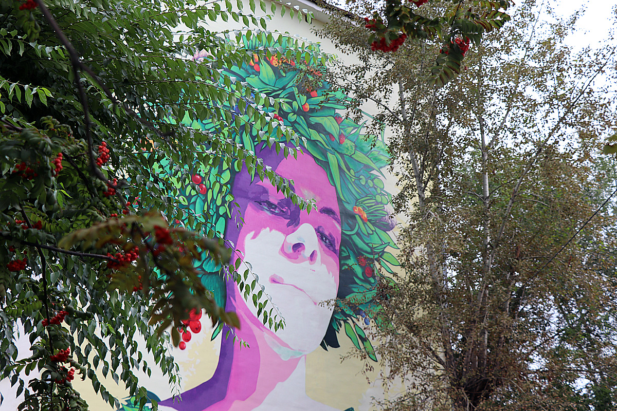 тайга.jpg тайга.jpg