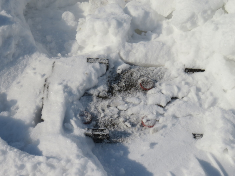 бот.jpg бот.jpg