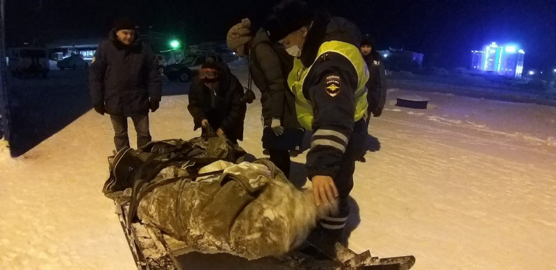 Taymyr._specdonesenie_po_faktu_nezakonnogo_vylova_5_osetrov_iz_zala_suda_(4)-800x600.jpg Taymyr._specdonesenie_po_faktu_nezakonnogo_vylova_5_osetrov_iz_zala_suda_(4)-800x600.jpg