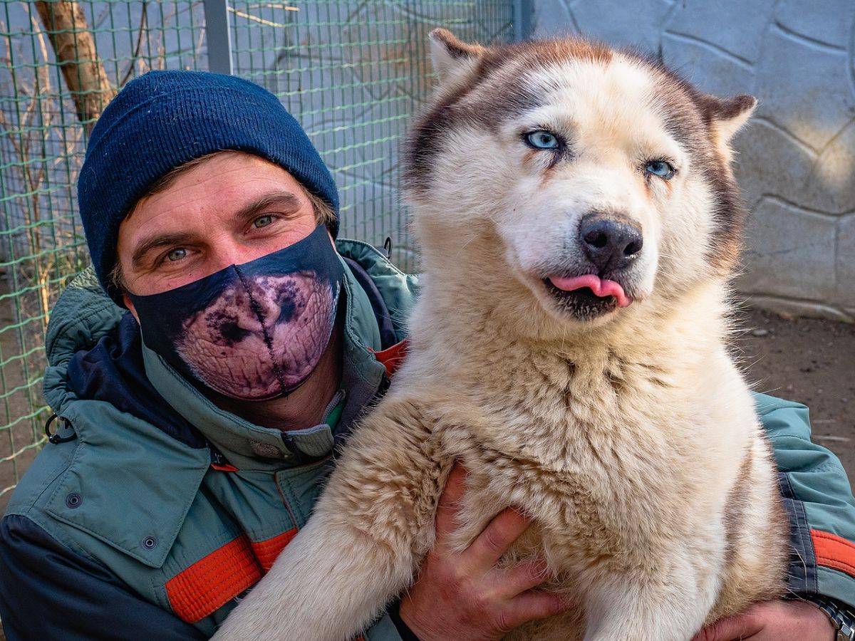 маски 5.jpg маски 5.jpg