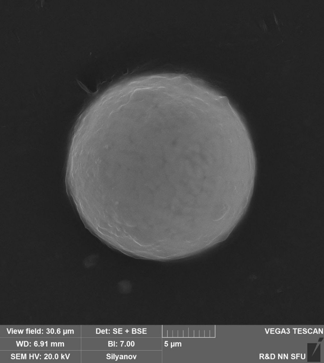В СФУ показали микрочастицы дыма, которым дышат с 7 августа красноярцы.jpg В СФУ показали микрочастицы дыма, которым дышат с 7 августа красноярцы.jpg