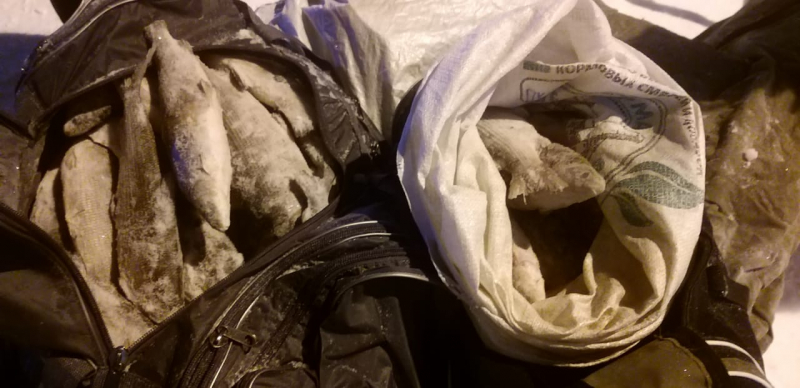 Taymyr._specdonesenie_po_faktu_nezakonnogo_vylova_5_osetrov_iz_zala_suda_(5)-800x600.jpg Taymyr._specdonesenie_po_faktu_nezakonnogo_vylova_5_osetrov_iz_zala_suda_(5)-800x600.jpg