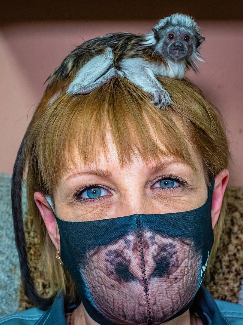 маски 3.jpg маски 3.jpg