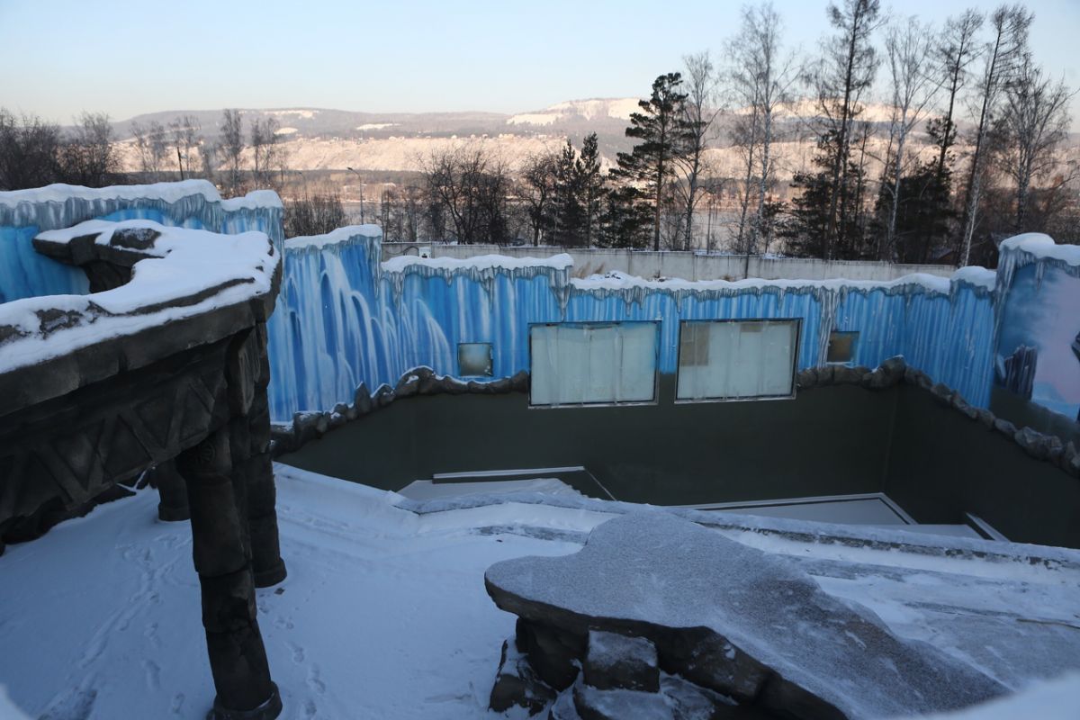 миш 1.jpg миш 1.jpg