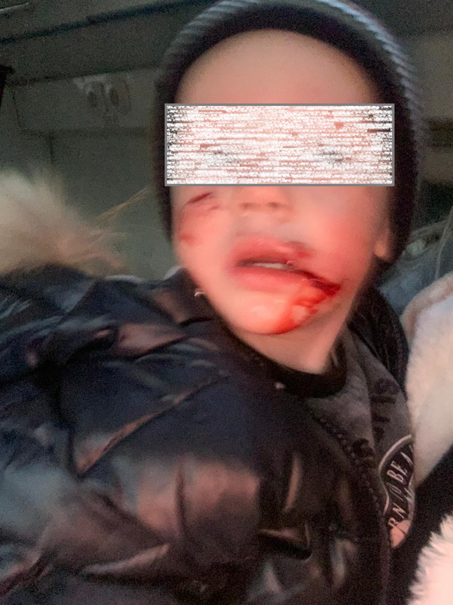 Собака 4.png Собака 4.png