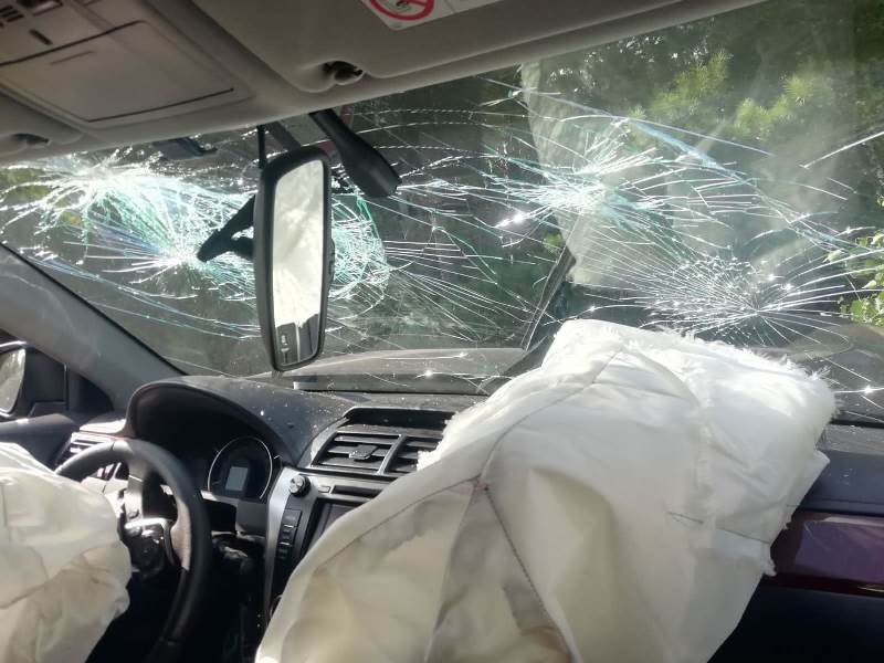 ремни 2.jpeg ремни 2.jpeg