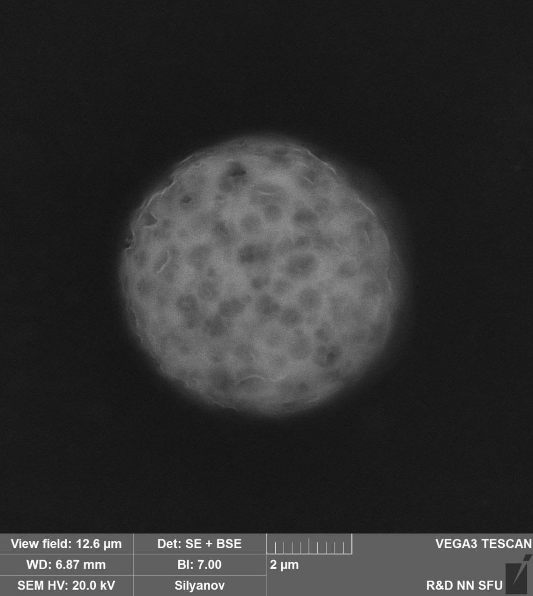 В СФУ показали микрочастицы дыма, которым дышат красноярцы.jpg В СФУ показали микрочастицы дыма, которым дышат красноярцы.jpg