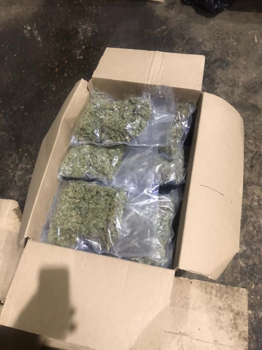 В Красноярском крае наркоплантация работала под видом лесоперерабатывающего цеха.jpg В Красноярском крае наркоплантация работала под видом лесоперерабатывающего цеха.jpg