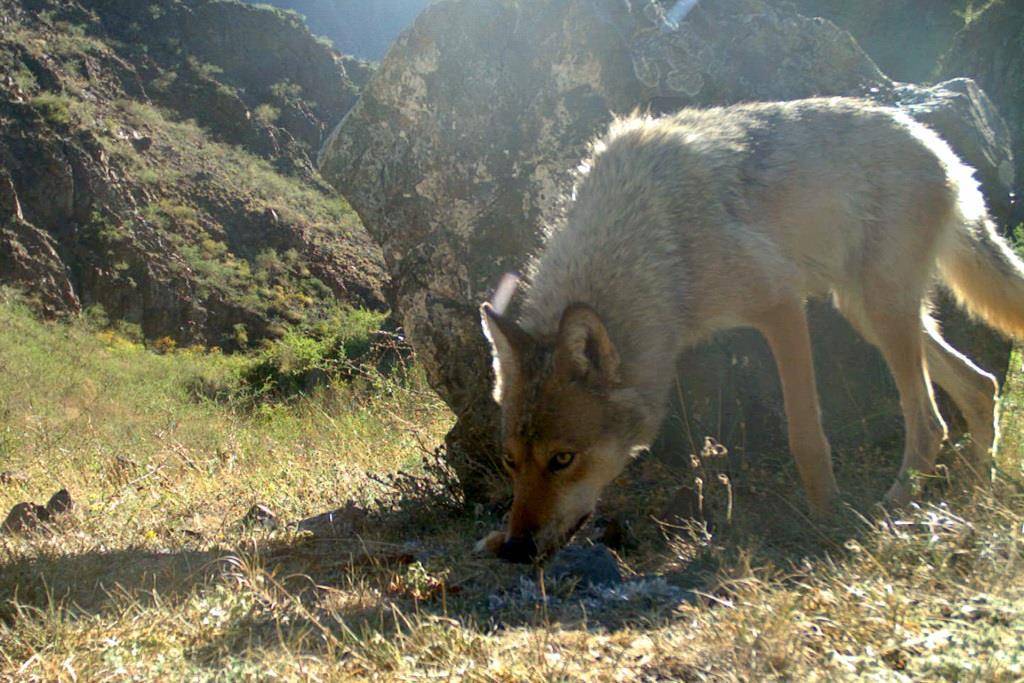 w59RuImU7nk.jpg w59RuImU7nk.jpg