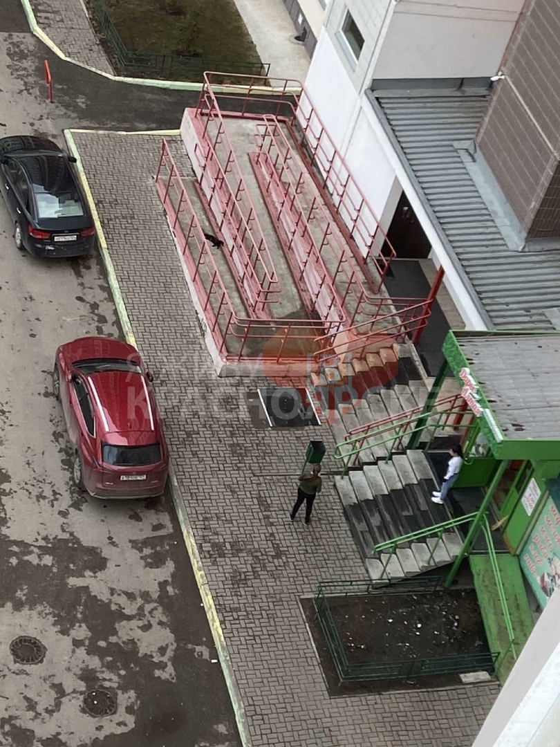 Позже ребята признались, что выкинули питомца с подъездного балкона.jpg Позже ребята признались, что выкинули питомца с подъездного балкона.jpg