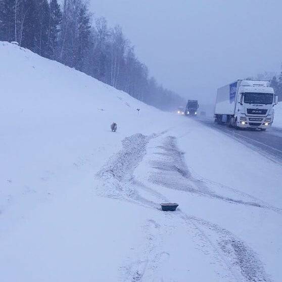 SsSi8437HYo.jpg SsSi8437HYo.jpg