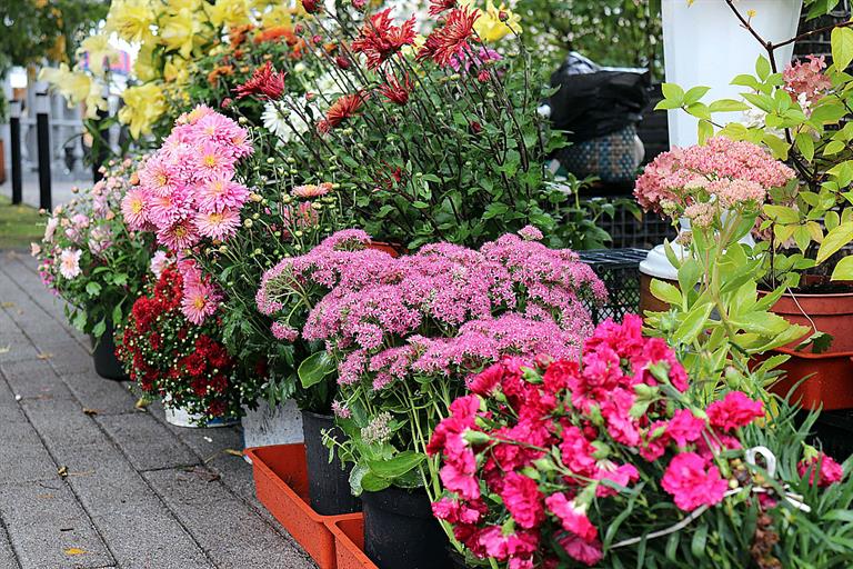 Цветочная симфония финал 2021 (1).jpg Цветочная симфония финал 2021 (1).jpg