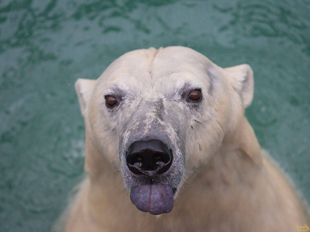 RH1H4146.jpg RH1H4146.jpg