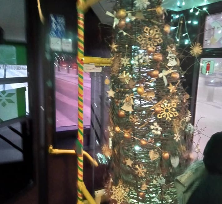 украсила 2.jpg украсила 2.jpg