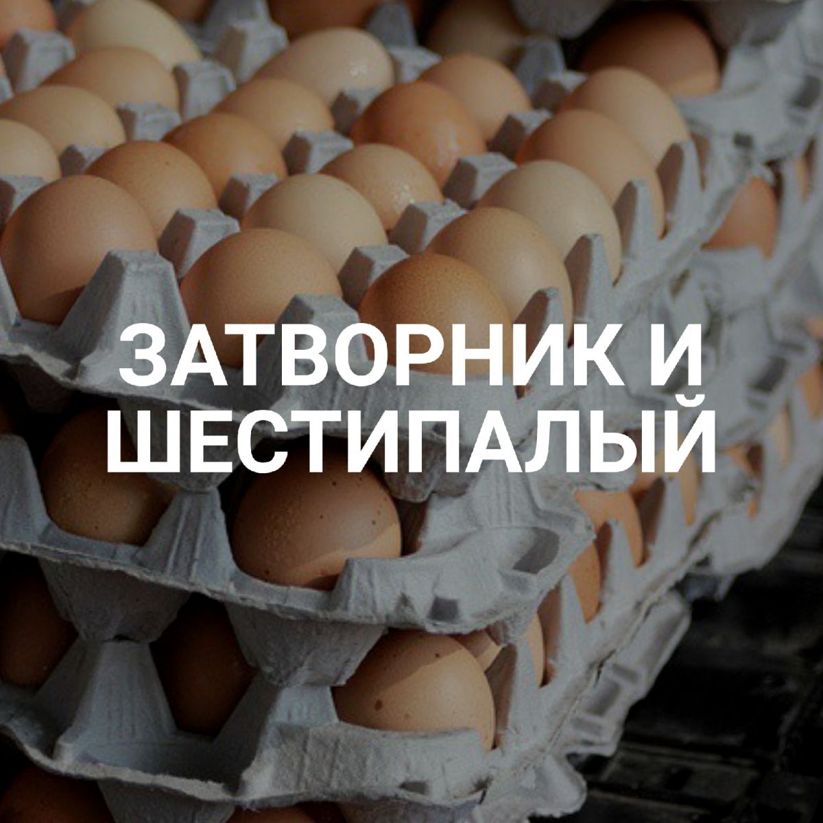 Элементы декораций к новому спектаклю красноярского театра кукол «Затворник и Шестипалый».jpg Элементы декораций к новому спектаклю красноярского театра кукол «Затворник и Шестипалый».jpg