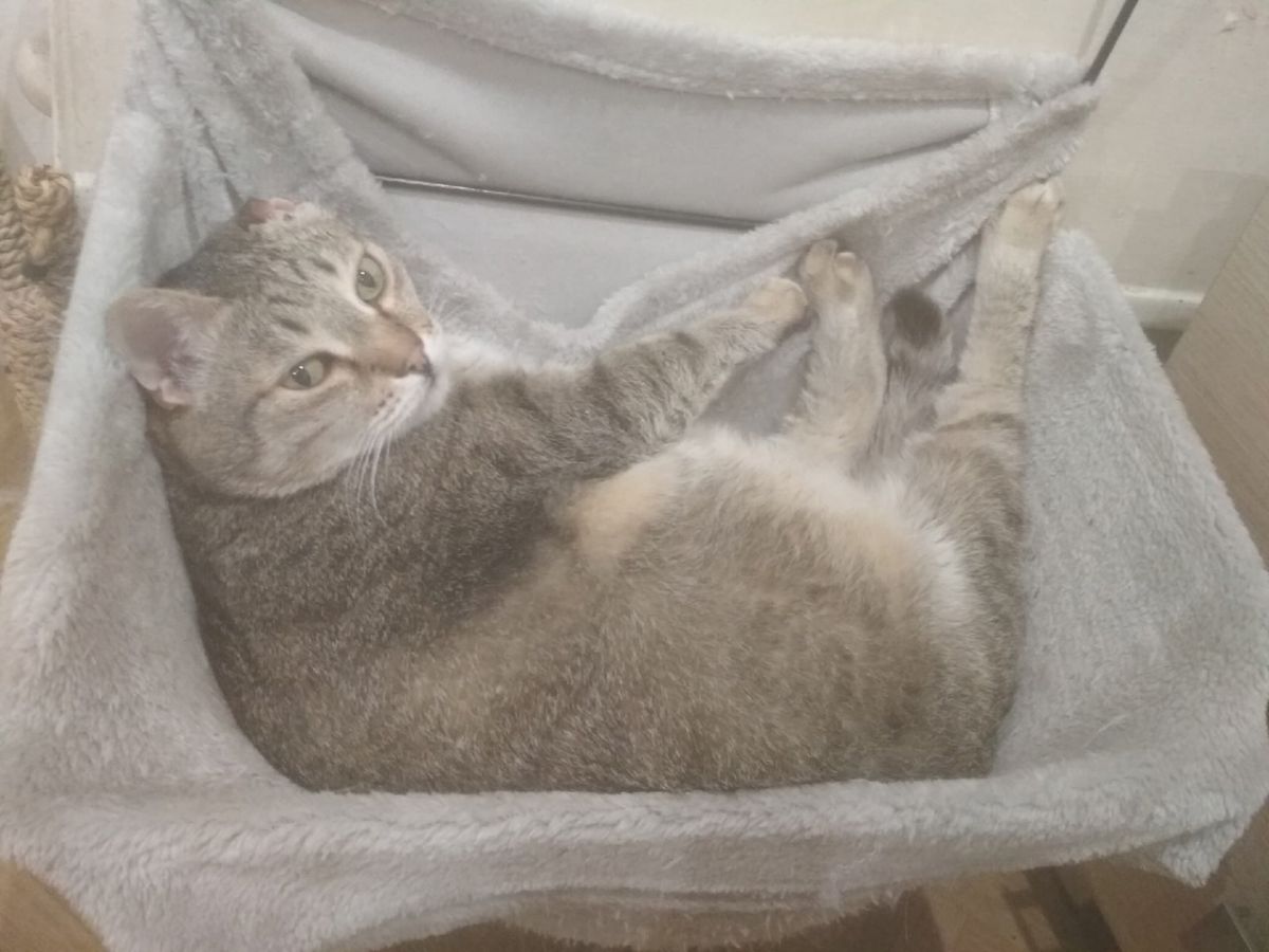 мартин.jpg мартин.jpg