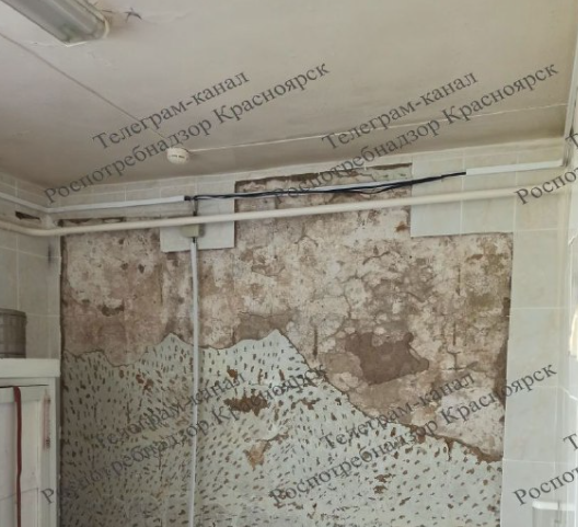 В Красноярском крае из-за антисанитарии до 17 сентября закрыли фельдшерский пункт.png В Красноярском крае из-за антисанитарии до 17 сентября закрыли фельдшерский пункт.png