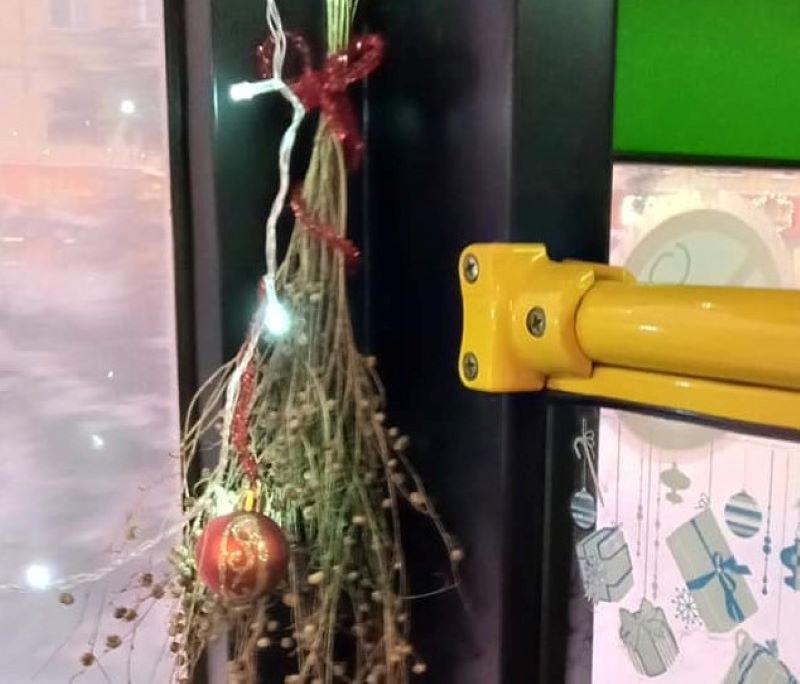 украсила 3.jpg украсила 3.jpg