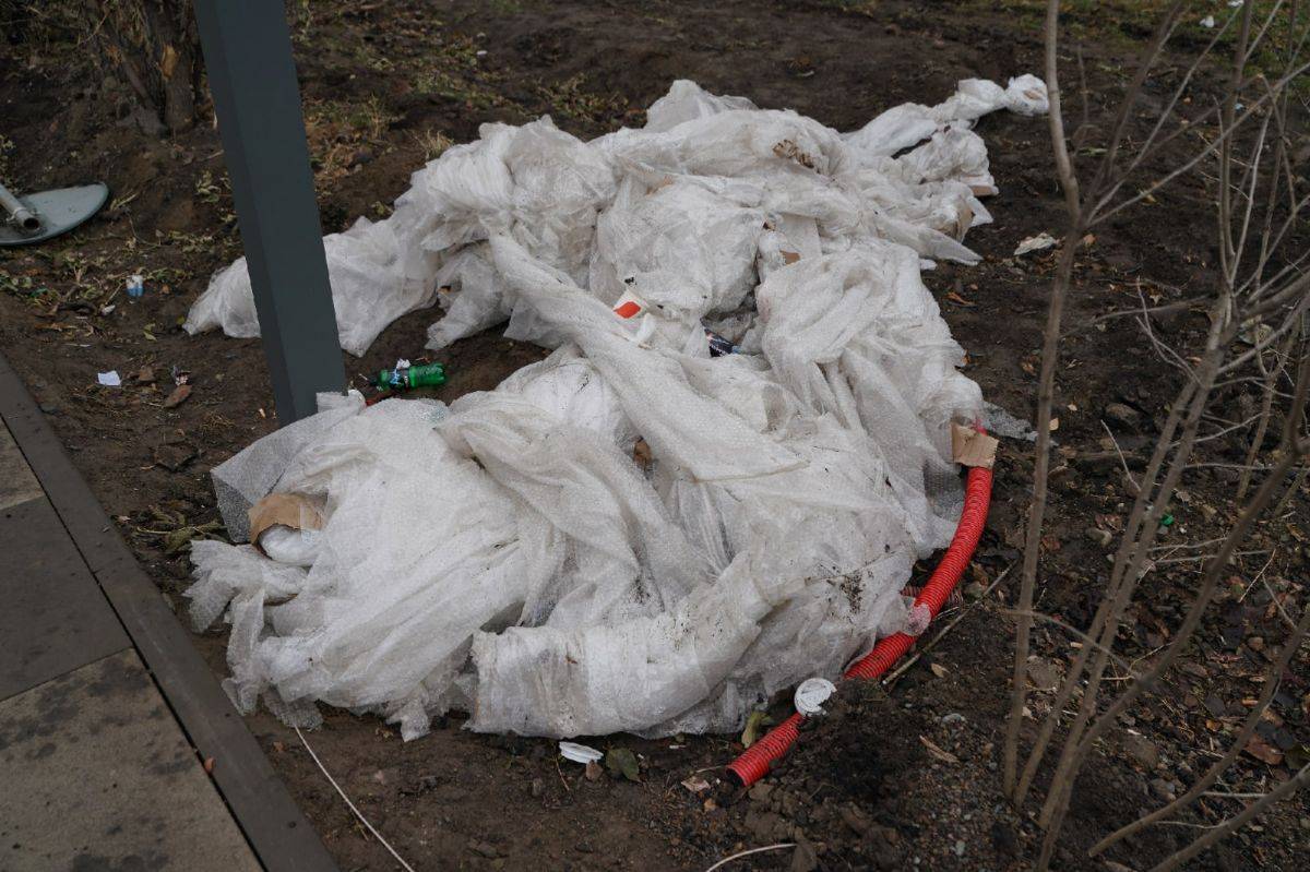 деревья 2.jpg деревья 2.jpg