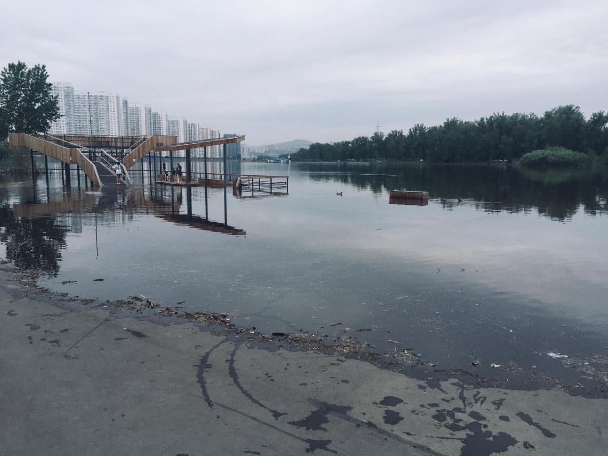 фото Дмитрий Комаров фото Дмитрий Комаров