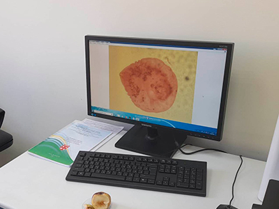 нектарины 2.jpg нектарины 2.jpg