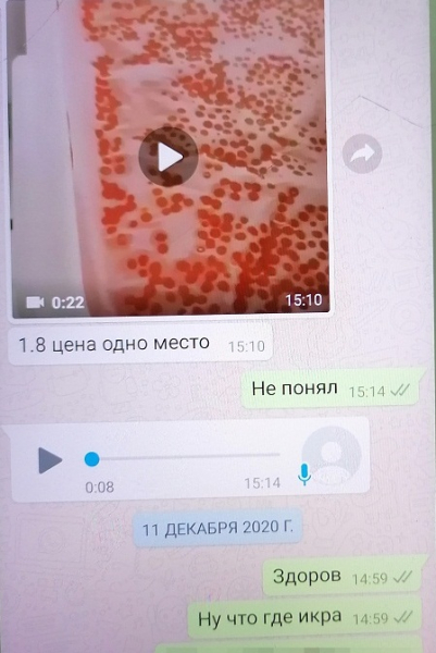 икра 2.jpg икра 2.jpg