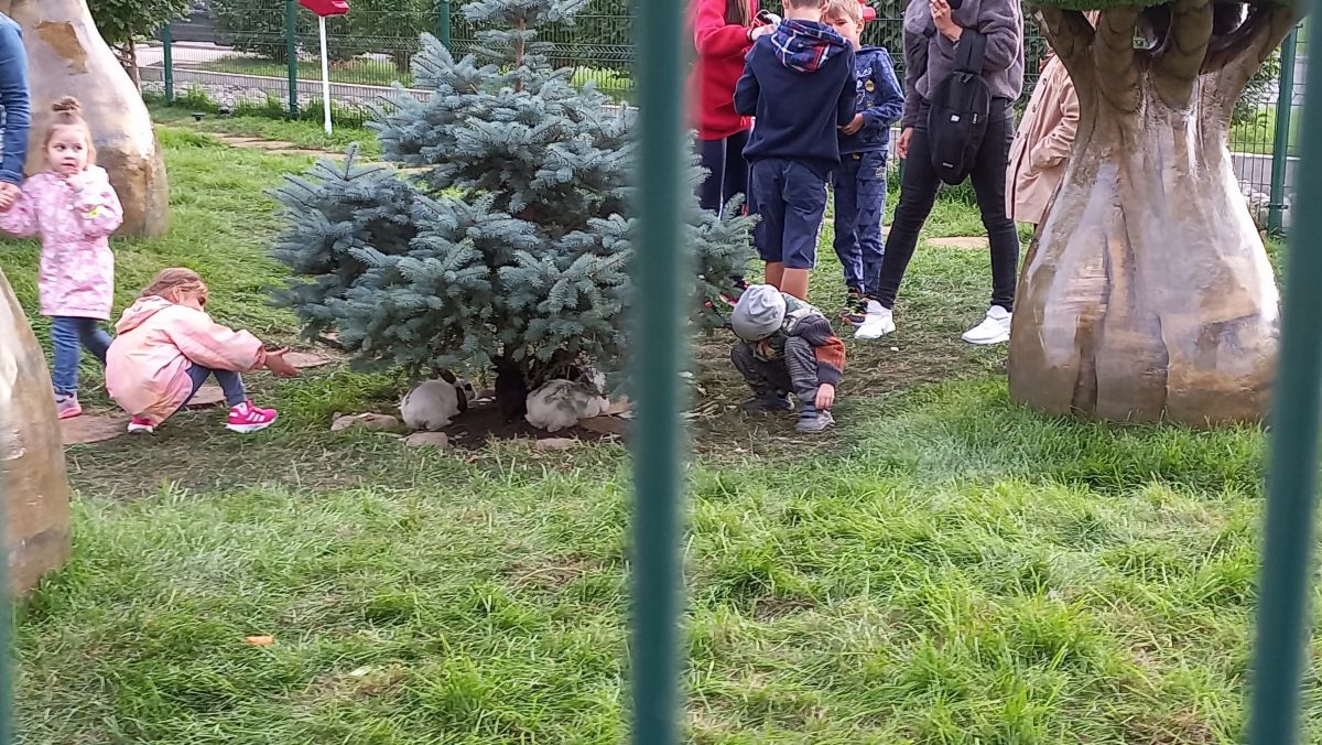 кролики.jpg кролики.jpg