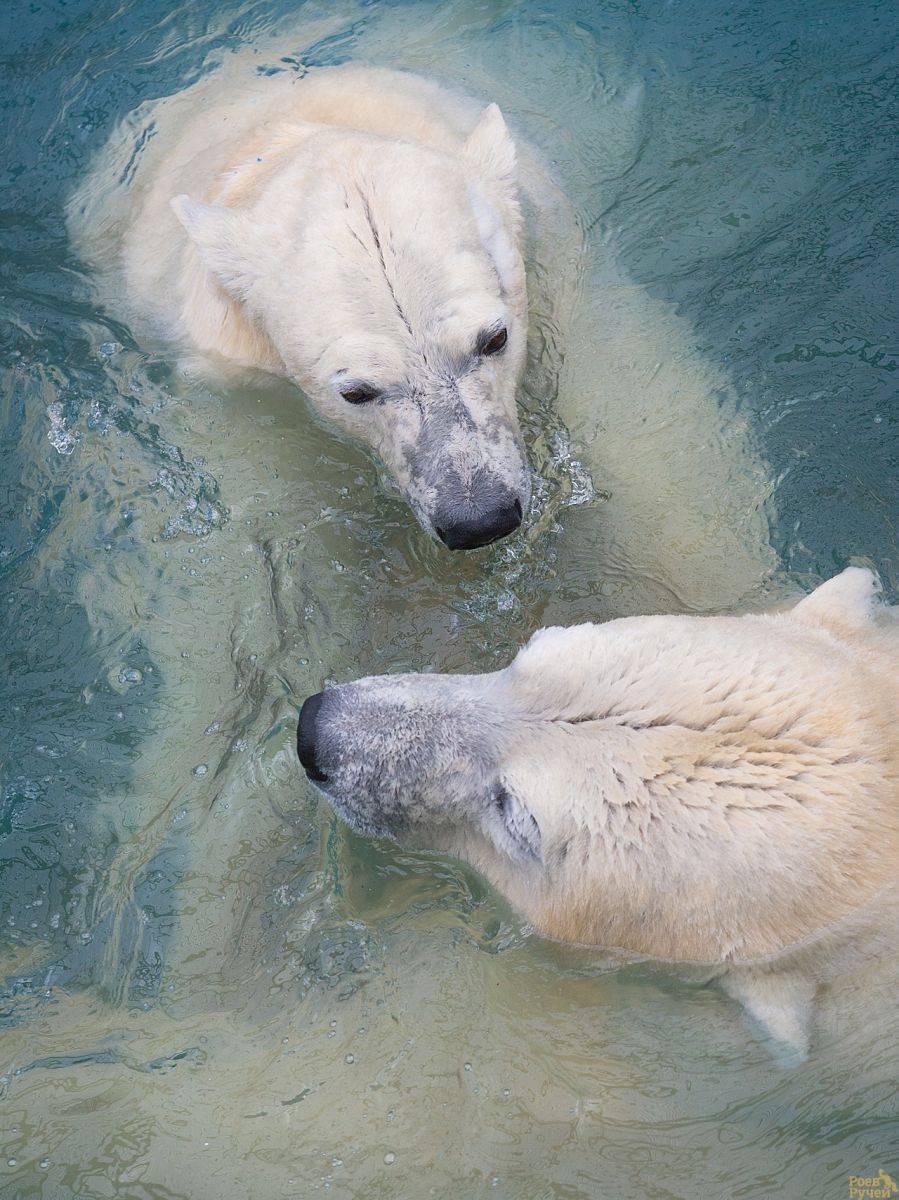 RH1H4088.jpg RH1H4088.jpg