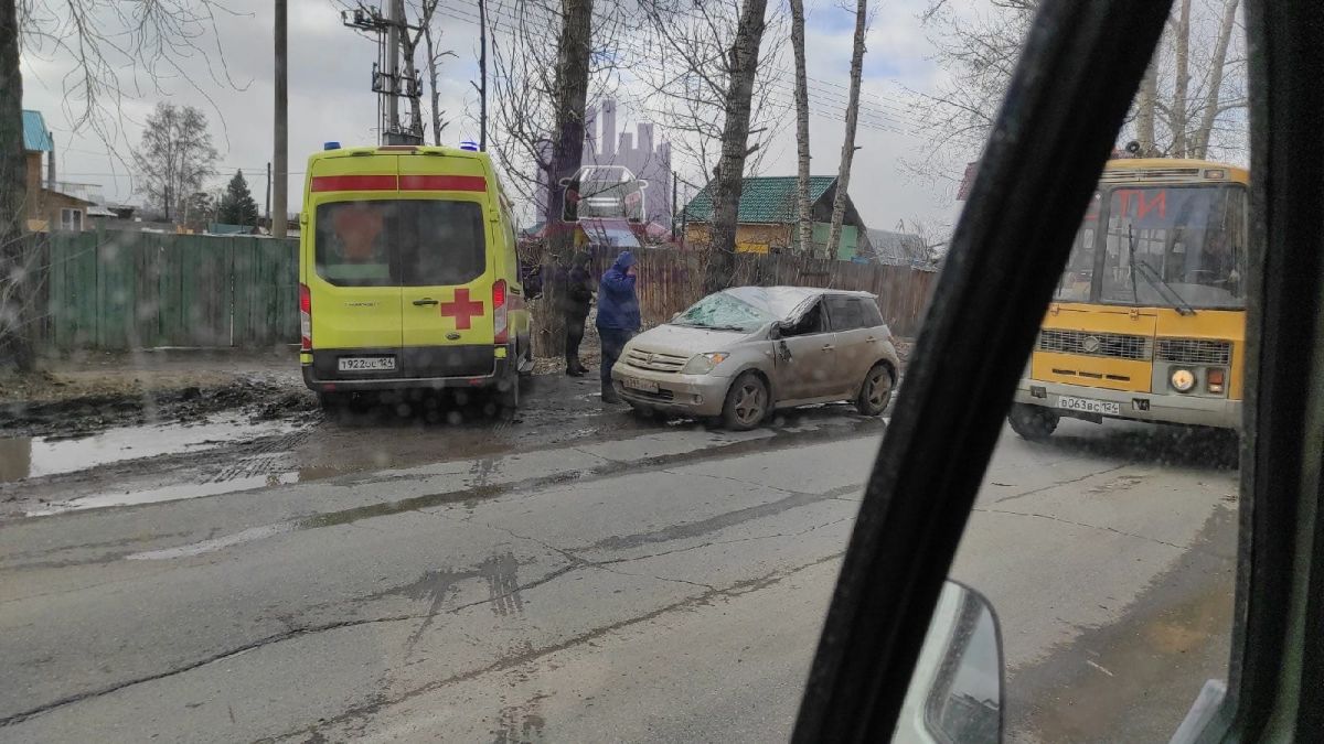 В Красноярске на Рейдовой дерево упало на машину.jpg