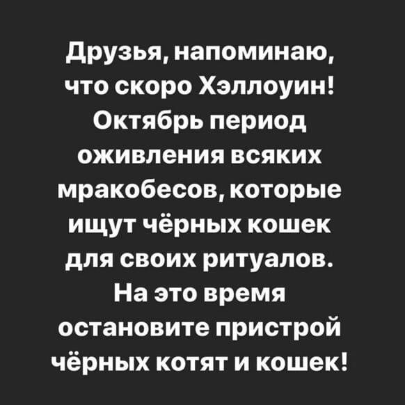 хэллоуин.jpg хэллоуин.jpg