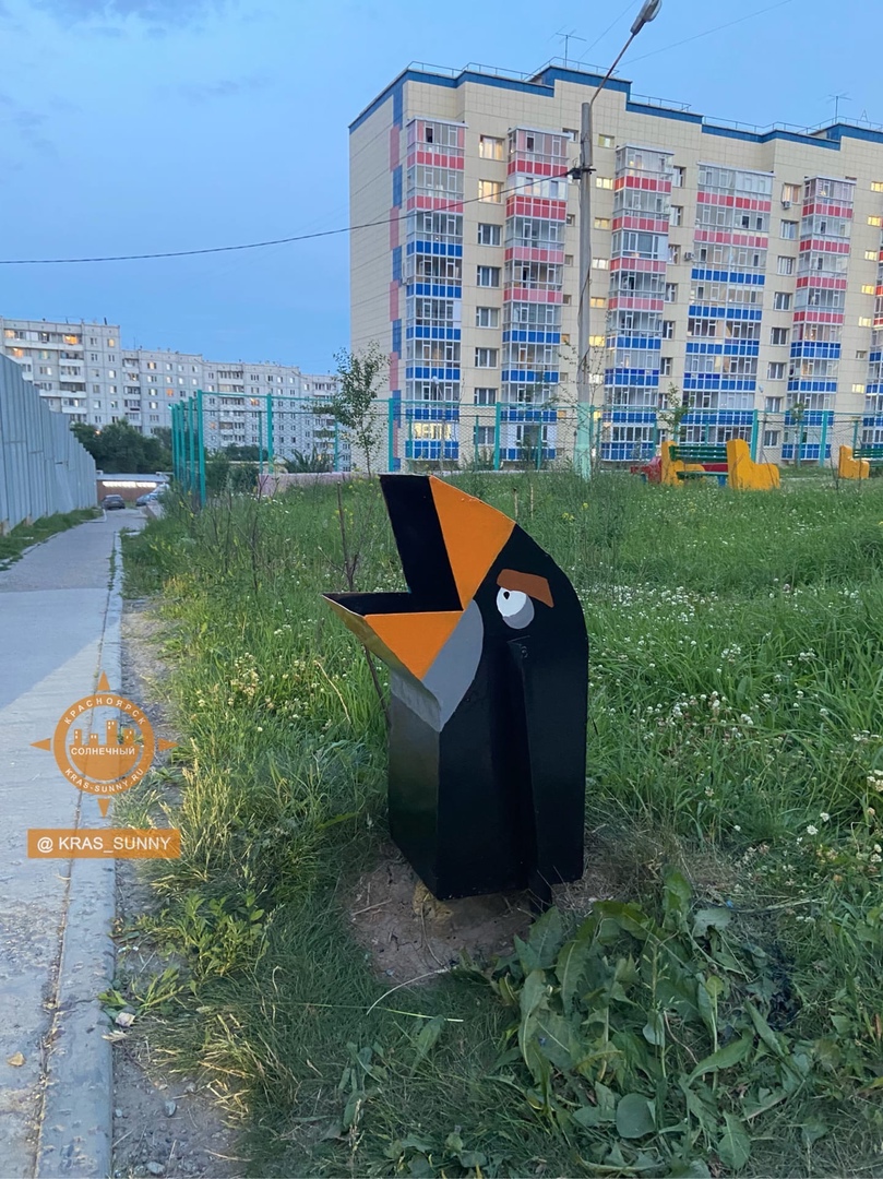 Чёрная птичка Чёрная птичка