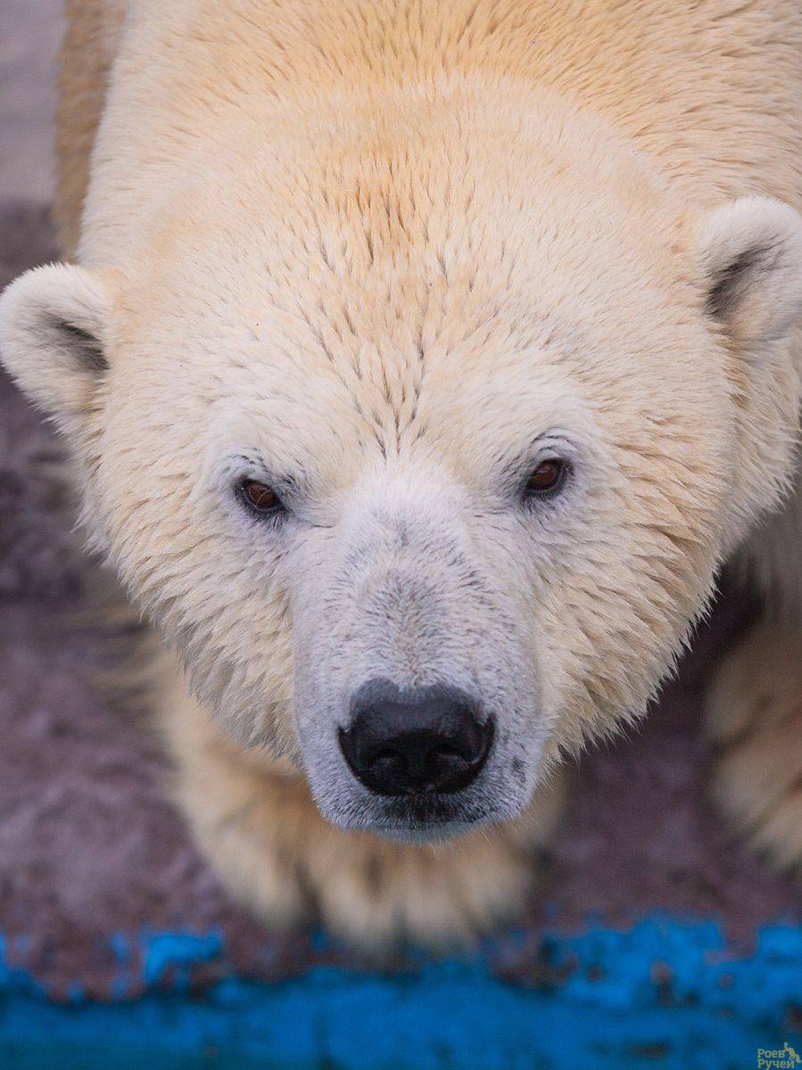 RH1H4165.jpg RH1H4165.jpg