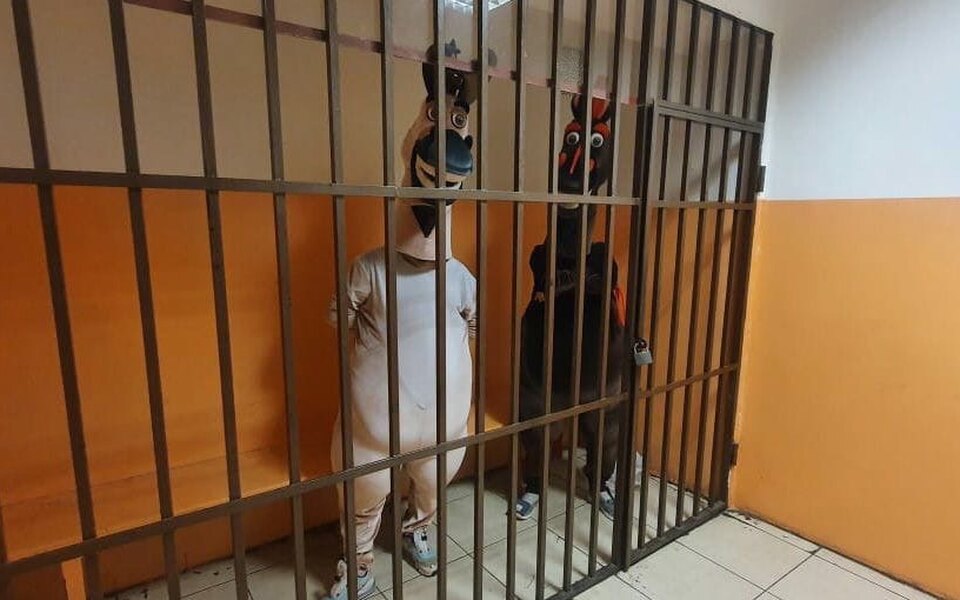 Конь и осёл.jpg Конь и осёл.jpg
