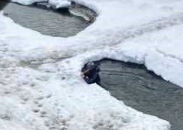 Девочка в полынье.png Девочка в полынье.png