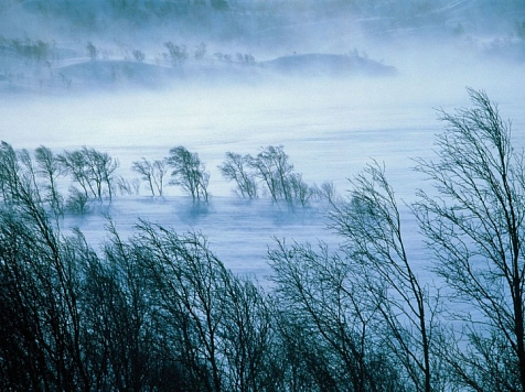 На Таймыре аномальное тепло и шторм, в Красноярске аномальный холод и ветер. Фото: ГУ МЧС по Красноярскому краю