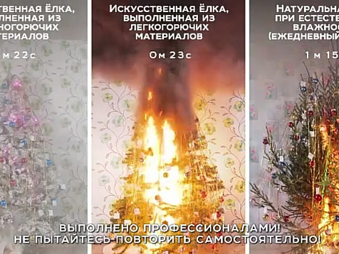В Красноярске пожарные сожгли три новогодние ёлки. Фото, видео: МЧС