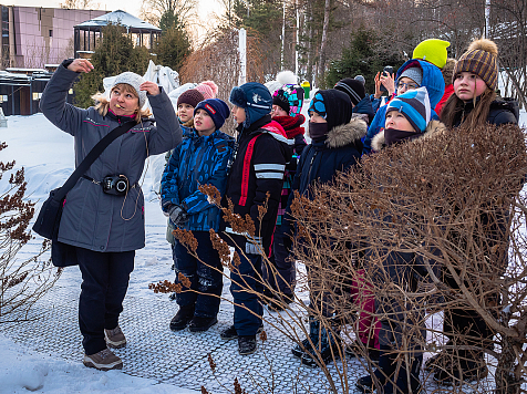 В Красноярском парке флоры и фауны возобновились занятия для школьников. Фото: admkrsk.ru