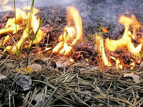 В Красноярске для предотвращения пожаров скосят сухую траву. Фото: МЧС