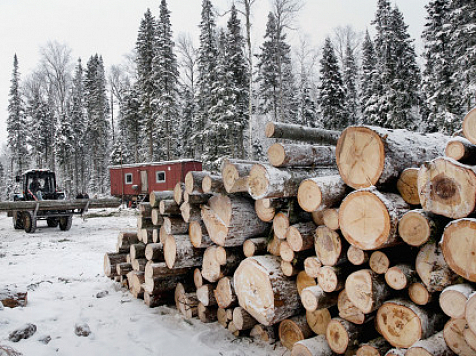 В Красноярском крае появились два новых поста контроля за транспортировкой древесины. фото: pixabay.com
