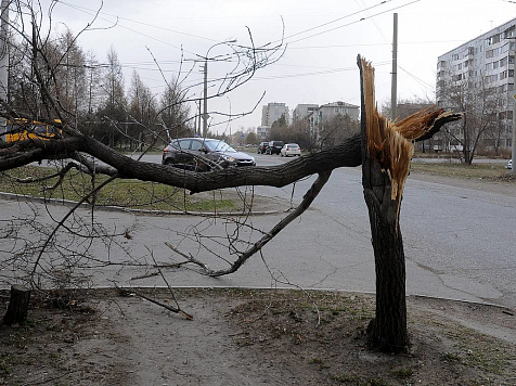 Сильный ветер сохранится в Красноярске и во вторник. Фото: МЧС