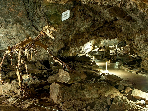 В Красноярском крае пещера-музей Караульная оказалась под угрозой закрытия. Фото: Пещера Караульная
