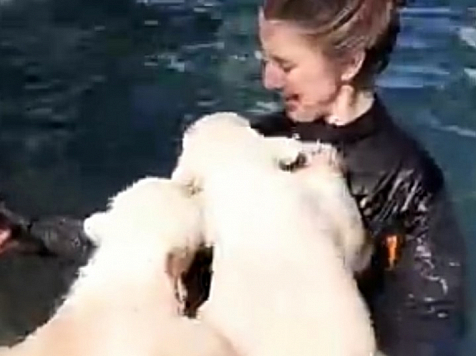 Детеныши красноярского белого медведя Седова впервые поплавали в бассейне. Фото, видео: Сафари-парк Геленджика