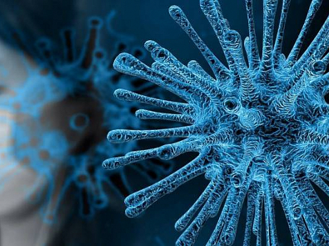 Четверо скончались от коронавируса за сутки в Красноярском крае. Фото: pixabay.com